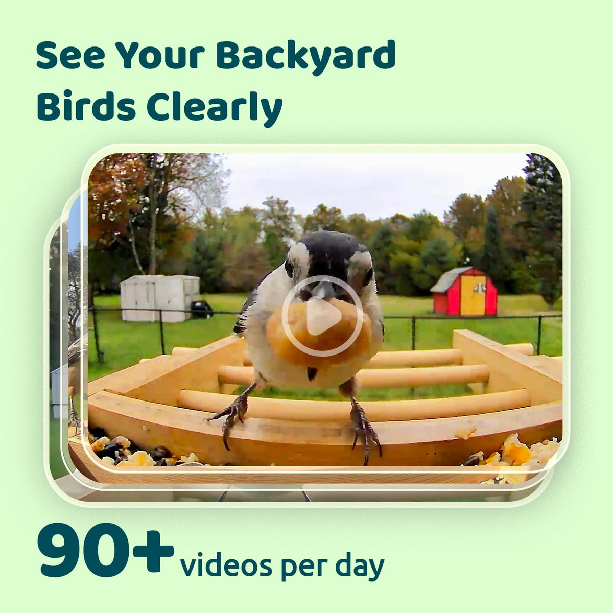 NETVUE Bamboo Bird Feeder eco-friendly materials with natural wood finish.
