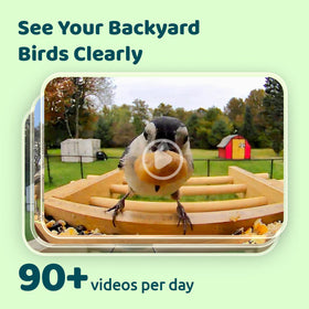 NETVUE Bamboo Bird Feeder eco-friendly materials with natural wood finish.
