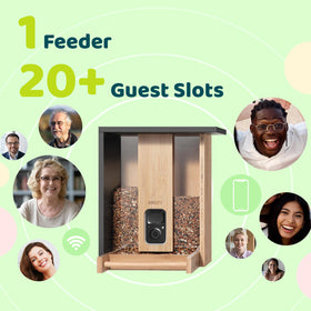NETVUE Bamboo Bird Feeder garden setup in a cozy backyard.
