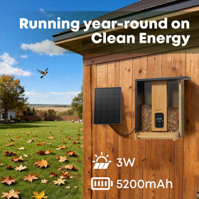 NETVUE Bamboo Bird Feeder solar panel close-up emphasizing renewable energy for continuous viewing.