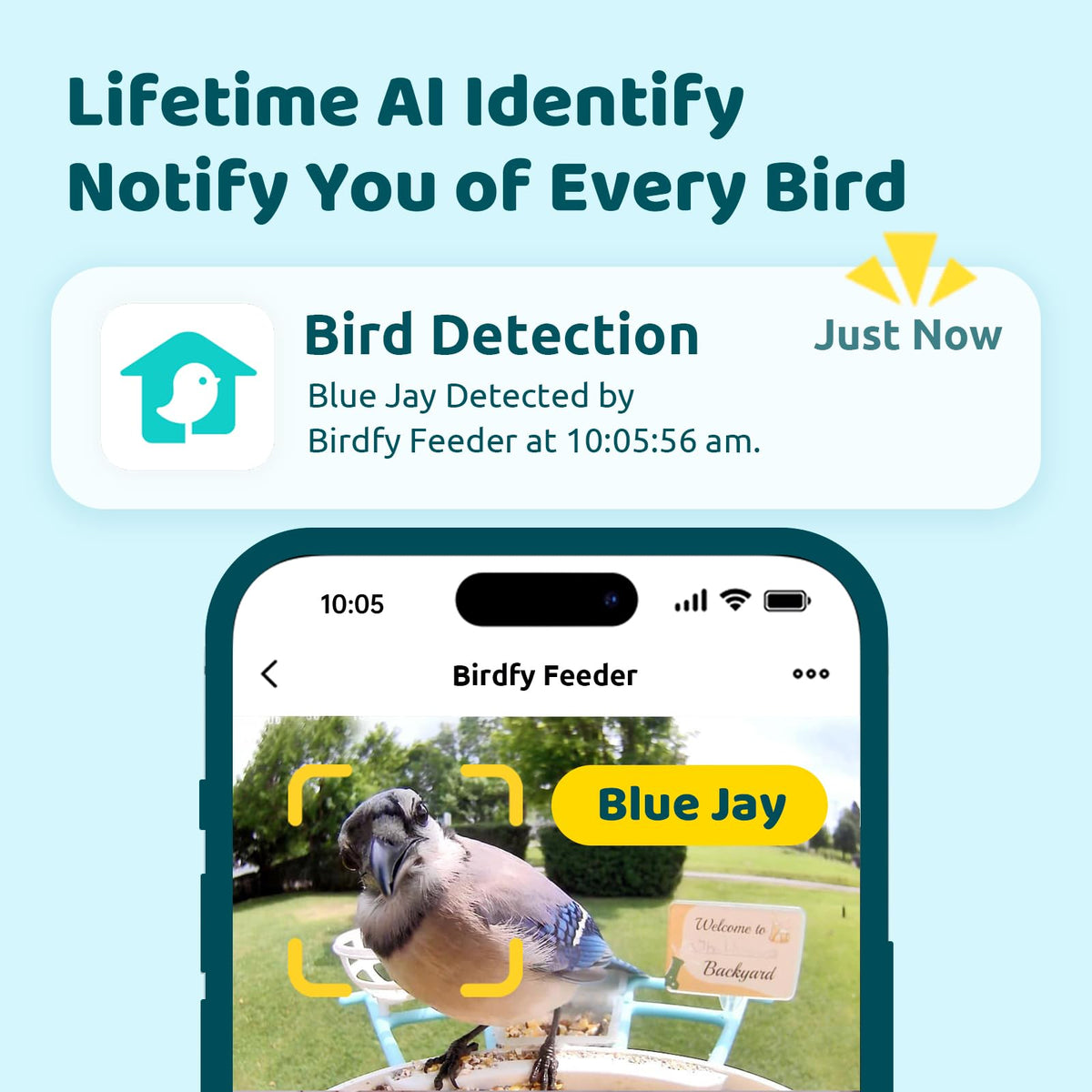 NETVUE Birdfy AI identification display shows species alerts in real time.