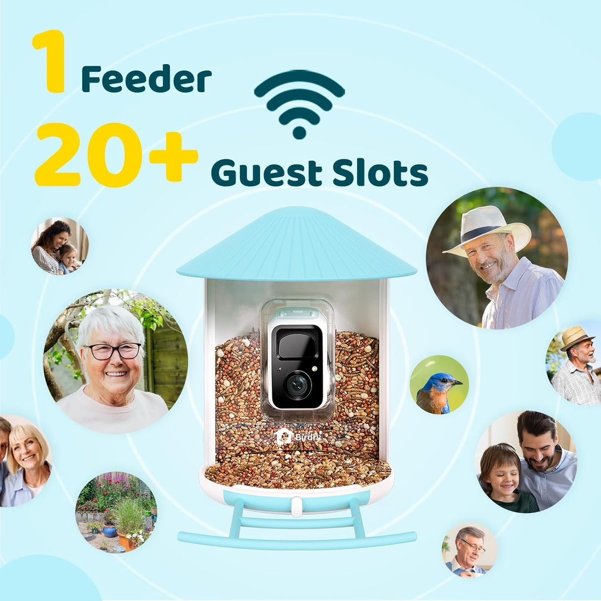 NETVUE Birdfy app notifies you in real time when birds visit.