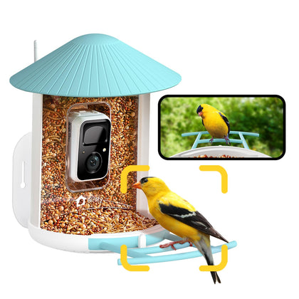 NETVUE Birdfy 1080p video capture of visiting backyard birds