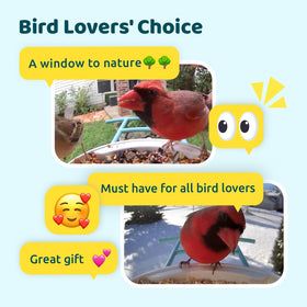 NETVUE Birdfy gift-ready packaging ideal for nature lovers.