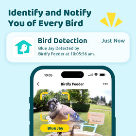 NETVUE Birdfy Hummee camera closeup highlights vivid color details for observation