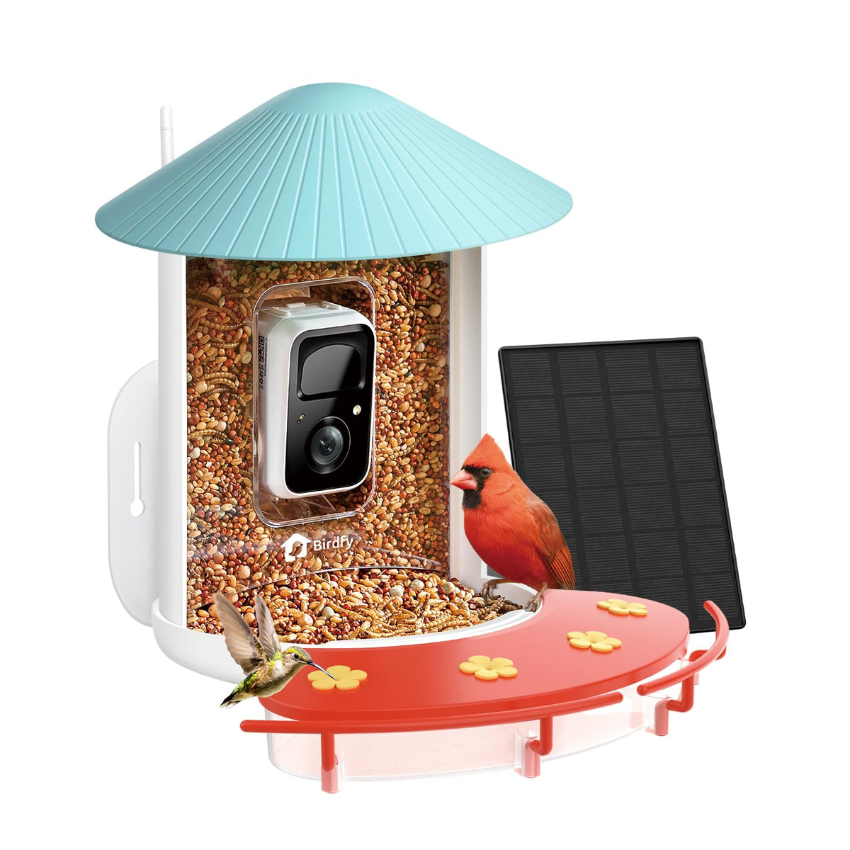 NETVUE Birdfy Hummee front view shows dual feeders attracting more hummingbirds