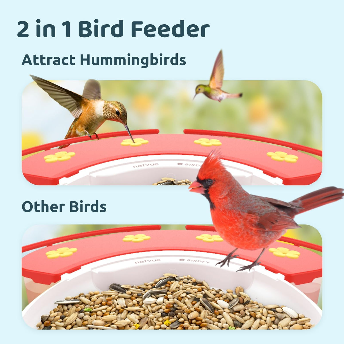 NETVUE Birdfy Hummee night color view for evening viewing
