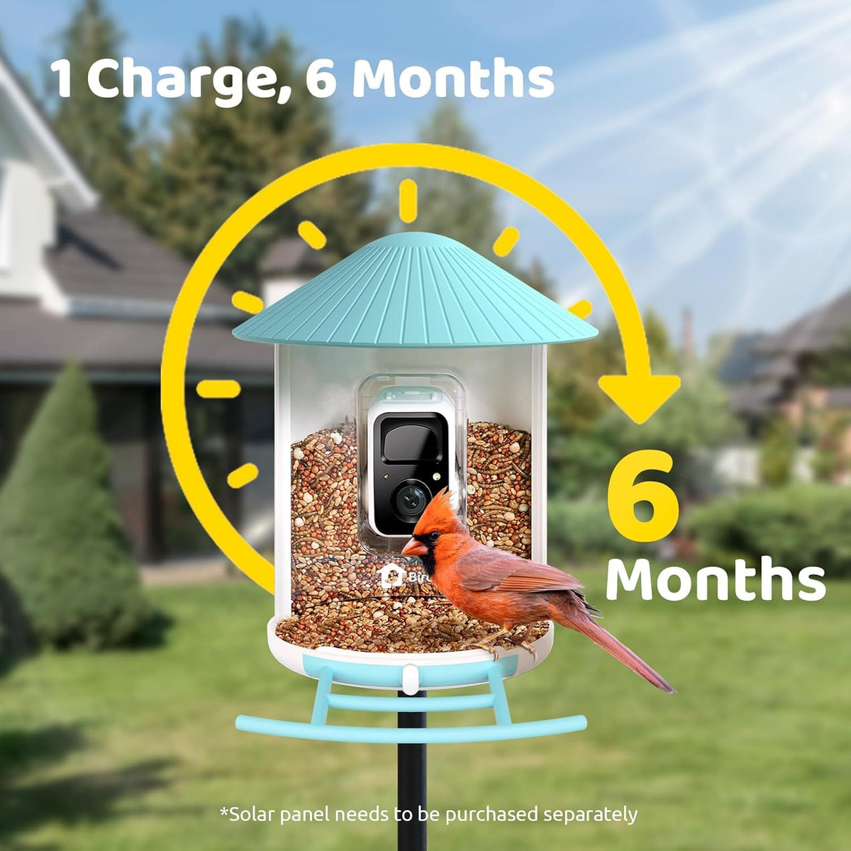 NETVUE Birdfy IP65 weatherproof housing withstands outdoor conditions.