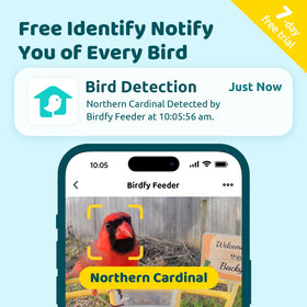 NETVUE Birdfy Pro instant alerts notify you of arrivals in real time