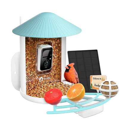 NETVUE Birdfy Pro solar panel powers year-round backyard birdwatching