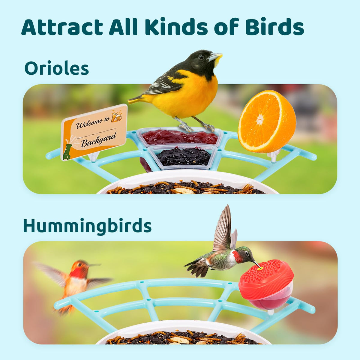 NETVUE Birdfy Pro wide perch enables DIY feeders for multiple species