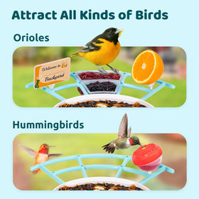 NETVUE Birdfy Pro wide perch enables DIY feeders for multiple species