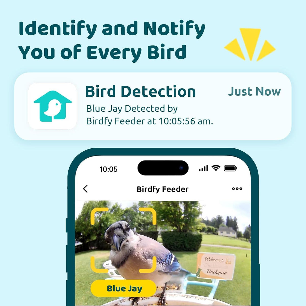 NETVUE Birdfy solar panel setup powering continuous birdwatching without charging.