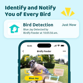 NETVUE Birdfy solar panel setup powering continuous birdwatching without charging.