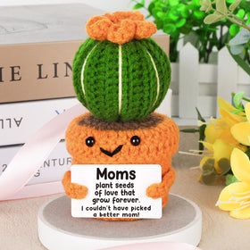 NEVERNERVE compact decor cactus for Mother's Day, celebrates mom's impact