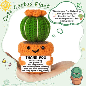 NEVERNERVE handmade cactus thank you for mentors and friends