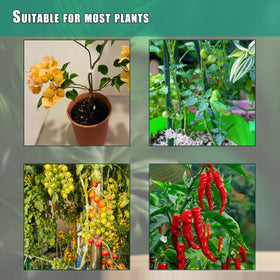 NEVTORAU plant training clips used on stakes or trellises for guided growth.