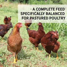 New Country Organics corn-free soy-free claim image demonstrates broad feed compatibility.