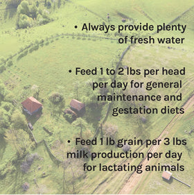 New Country Organics goat feed on a farm scene emphasizing wholesome nutrition.