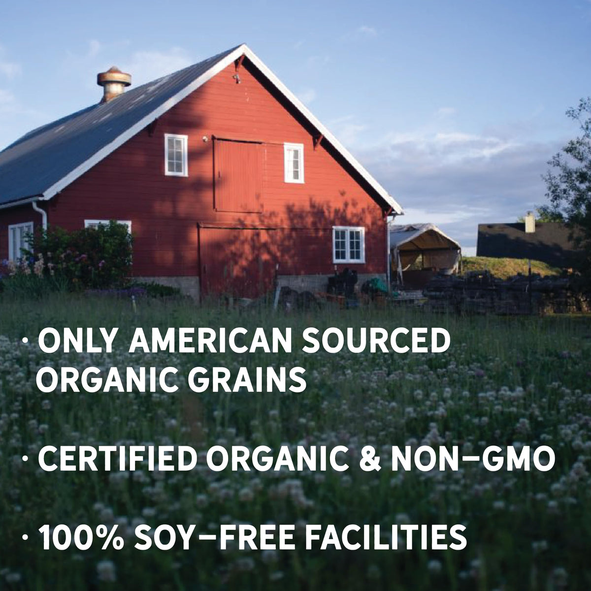New Country Organics Goat Feed lactation support helping dairy goats maintain energy.