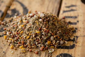 New Country Organics chick development closeup shows balanced protein for growing birds.