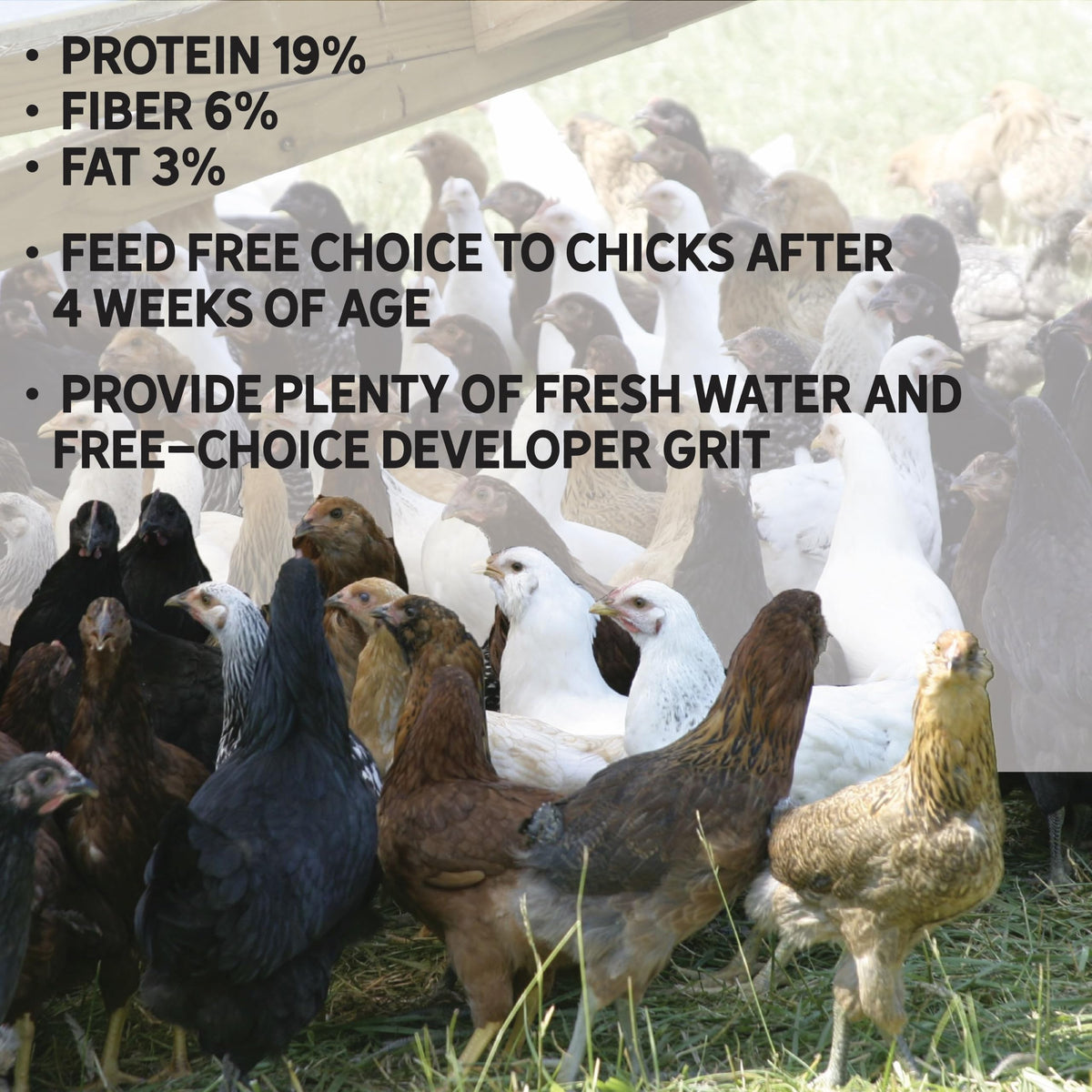 New Country Organics simple formulation visual shows fewer ingredients for ease of use.