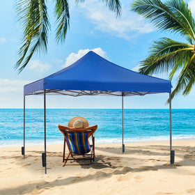NEWBULIG canopy with included sand bags stays stable.