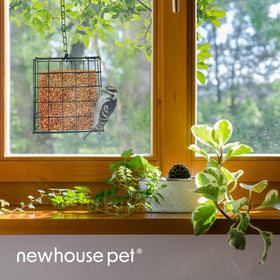 Newhouse Pet Suet Basket in use with birds showing versatile placement options