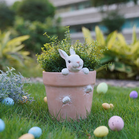 Newman House Studio Easter bunny pot drainage hole shown for healthy watering.