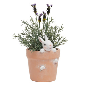 Newman House Studio Easter bunny pot side angle, perfect for shelves and tabletops.