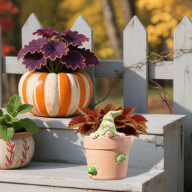 Newman House Studio Easter gift-ready pot for gifting