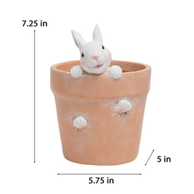 Newman House Studio planter with cactus ideal for compact indoor greenery.