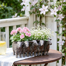 Newman House Studio Resin Sheep Planter front view showcasing desk-friendly charm