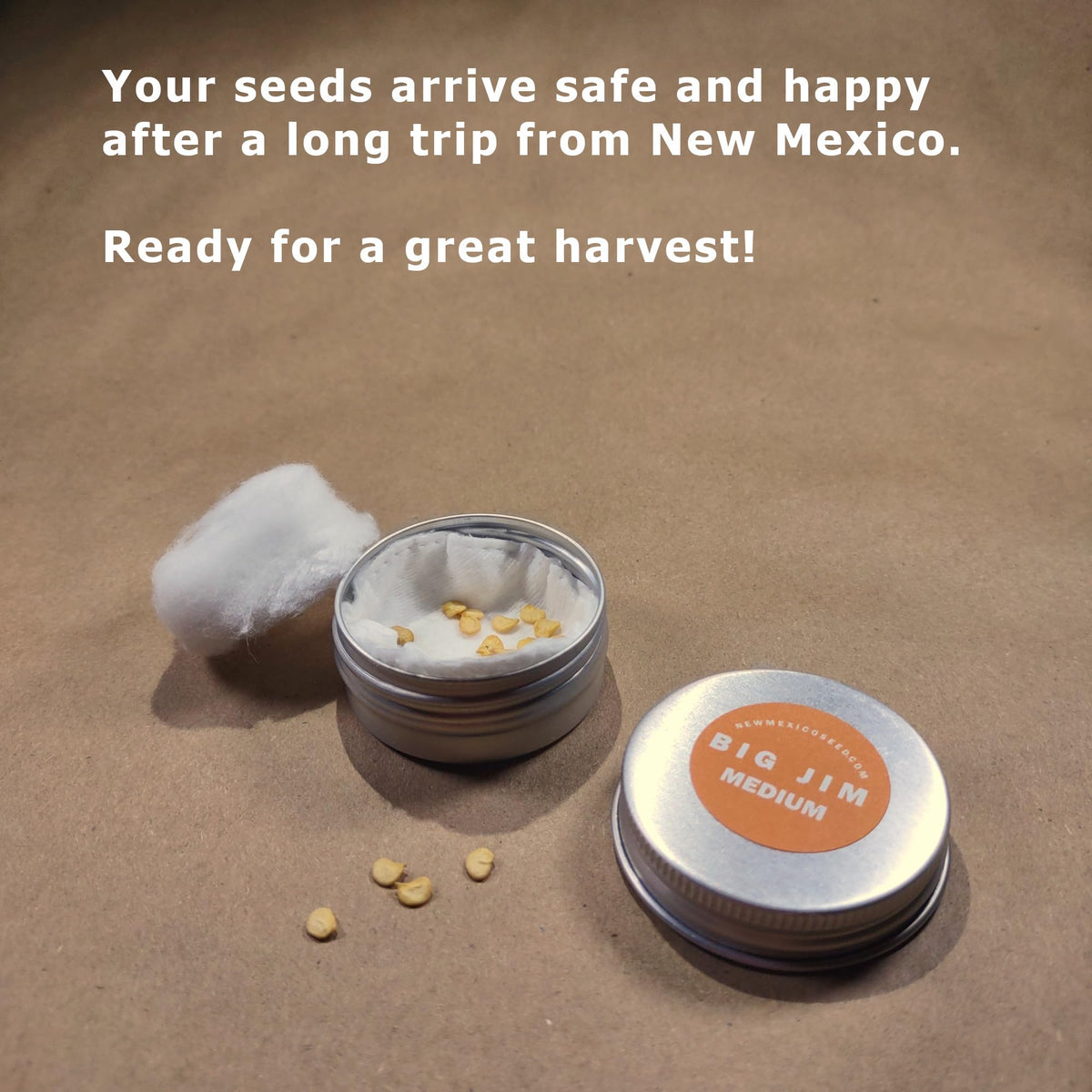 NewMexicoSeed green chiles harvest highlights crisp vegetal flavor and versatility.