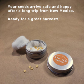 NewMexicoSeed green chiles harvest highlights crisp vegetal flavor and versatility.
