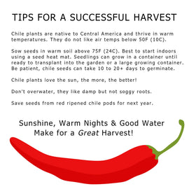 NewMexicoSeed Hatch Valley terroir infuses peppers with iconic Southwestern aroma.