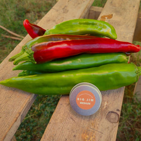 NewMexicoSeed red chile pods ready for roasting and deep, smoky flavors.