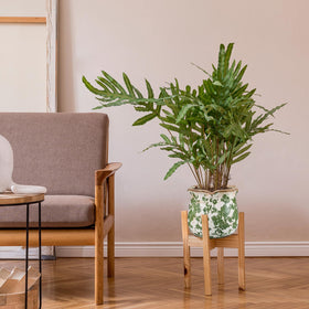 Newtay gift-ready ceramic plant pot suitable as a thoughtful housewarming present.