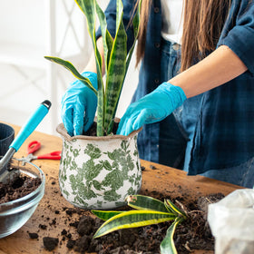 Newtay indoor planter on shelf setup enhances rustic-kitchen or living room vibe.