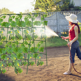 Nexum trellis arch design maximizes garden space and vine support