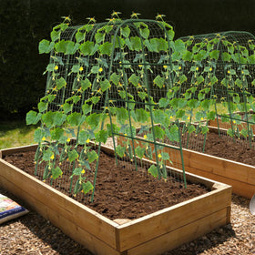 Nexum complete garden kit includes netting, clips, and gloves