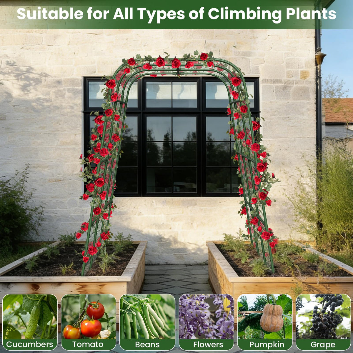 Nexum cucumber trellis supports cucumbers, tomatoes, peas, and beans