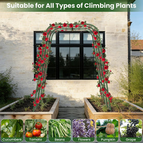 Nexum cucumber trellis supports cucumbers, tomatoes, peas, and beans