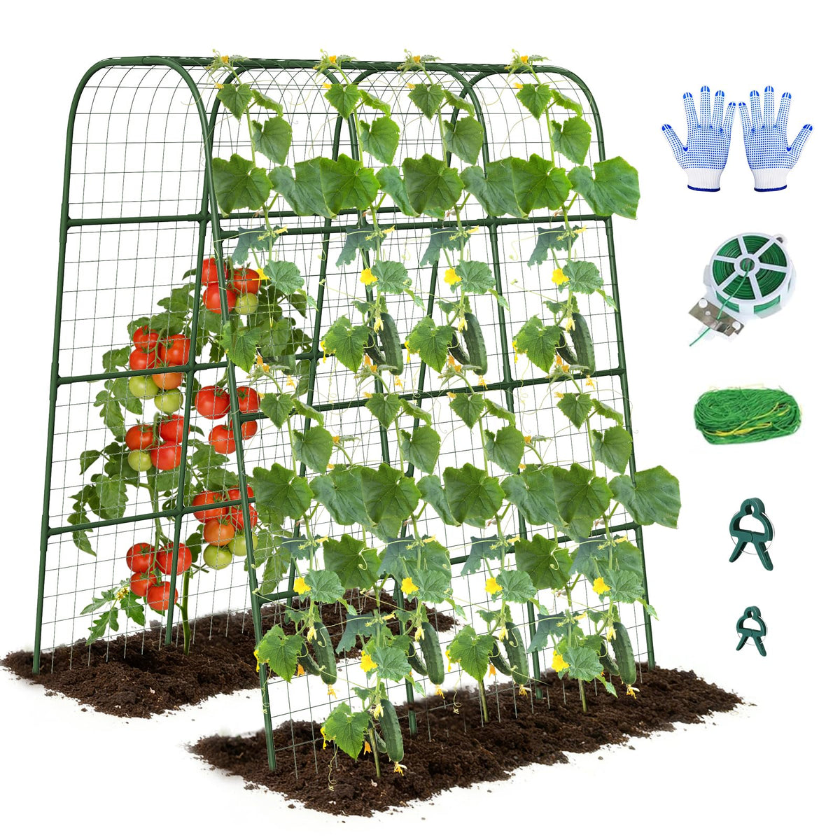 Nexum cucumber trellis in raised bed showing space-saving arch design