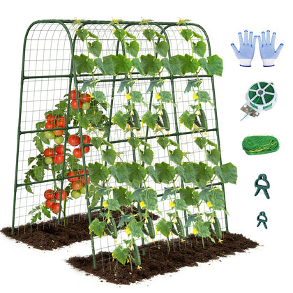 Nexum cucumber trellis in raised bed showing space-saving arch design