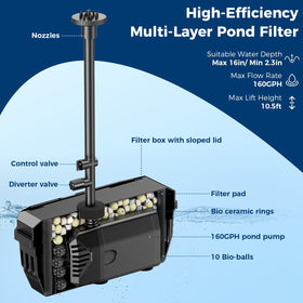 NFESOLAR 160 GPH submersible pump delivers steady circulation for oxygenation.