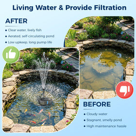NFESOLAR 3-stage filtration demonstrates debris removal and clearer pond water.