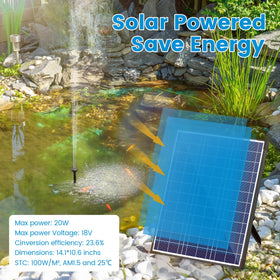 NFESOLAR filter media including sponges and bio balls promotes clear water.