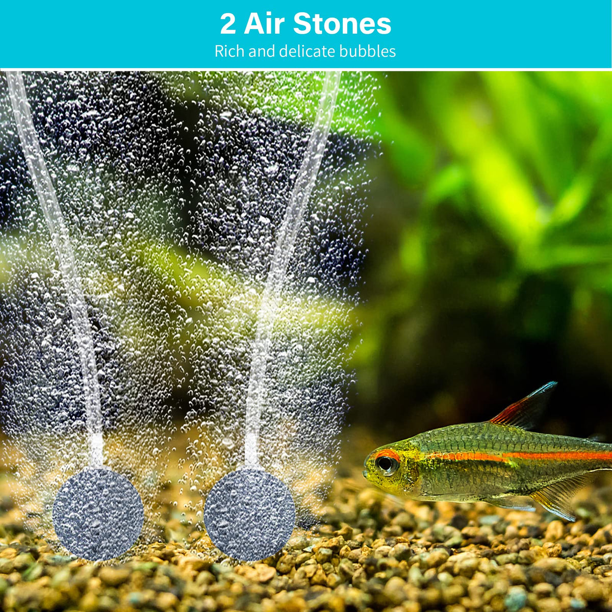 NFESOLAR pond aerator in use in a sunny garden pond