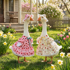 Porch goose clothes bundle includes hat and strawberry skirt set for easy styling